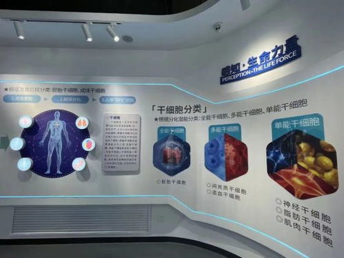 促生物经济发展 黑龙江省内首家再生医学生命科学馆在深哈产业园揭牌